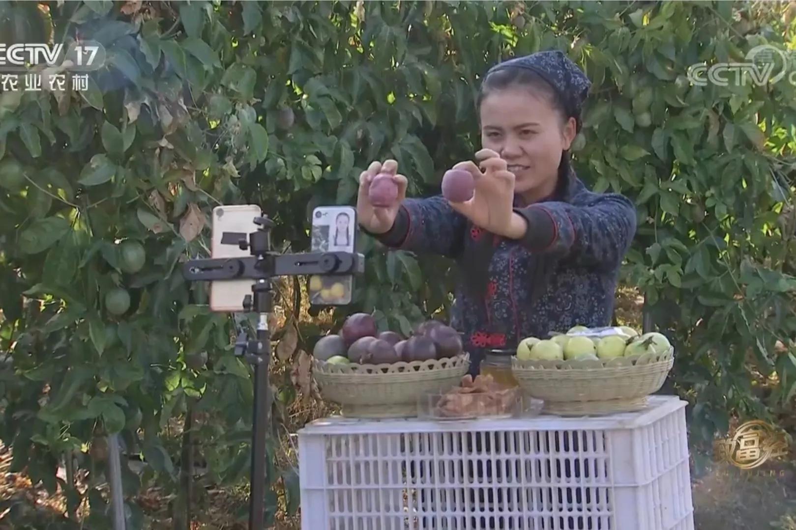 愚公移苍山荒山化作聚宝盆,200亩荒山变成聚宝盆