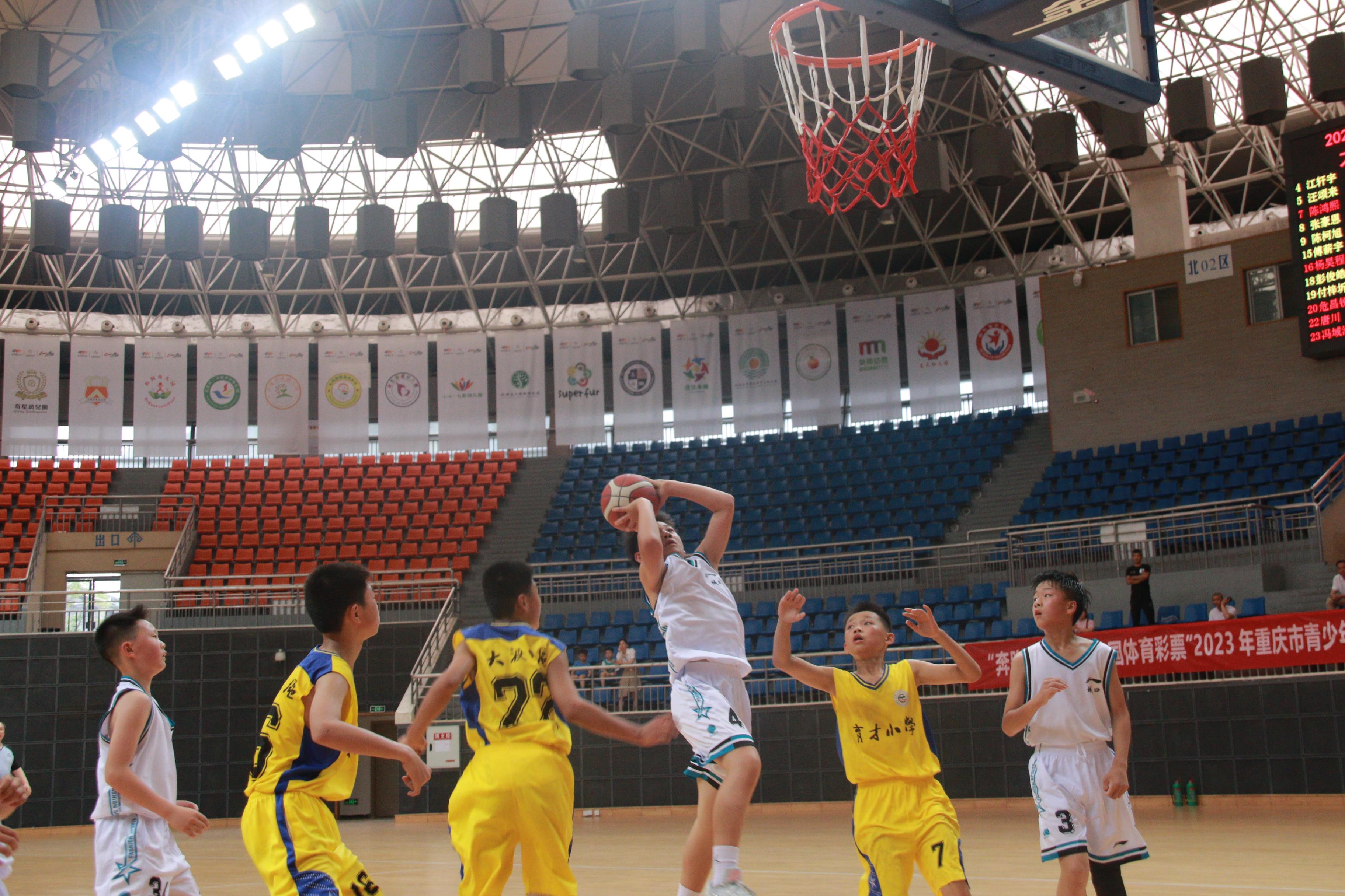 重庆最新青少年篮球比赛报名,重庆市2021年青少年篮球比赛赛程