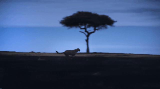 硬盘必看的十部电影,4k蓝光硬盘电影大片