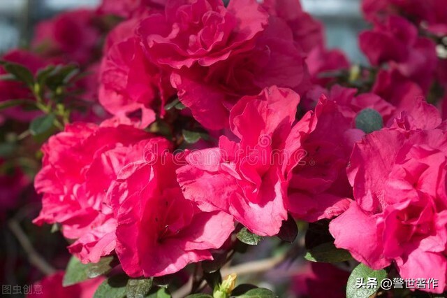 七律诗十首爱国,七律祖国诗