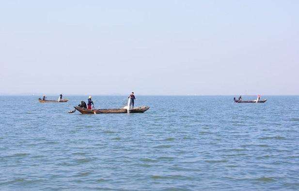 梁子湖翘嘴白鱼,梁子湖钓什么鱼