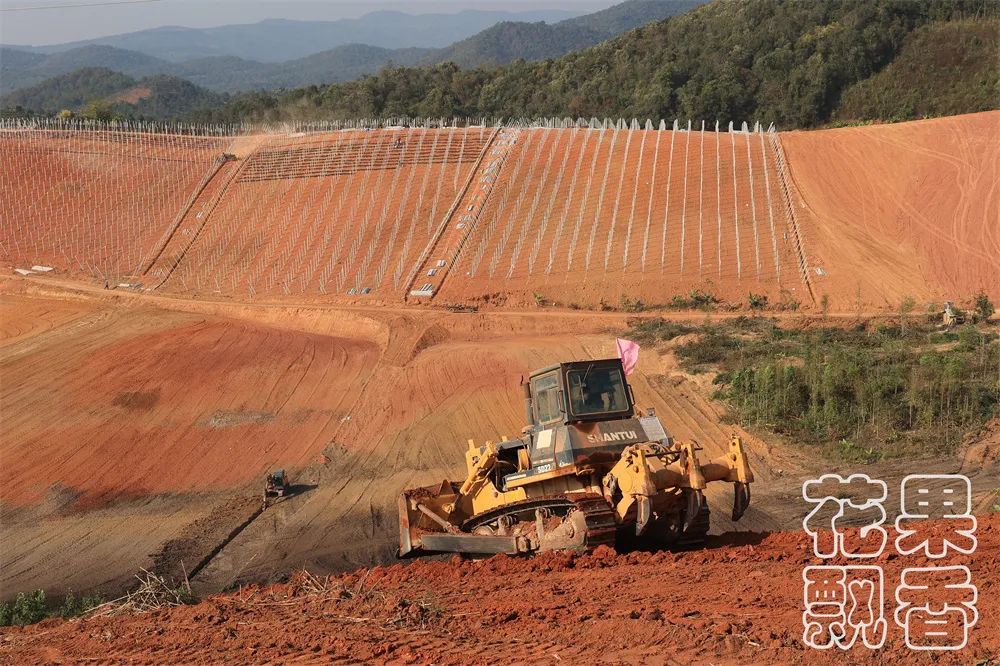 农业项目每亩净收益,农业养殖类项目有没有扶持政策