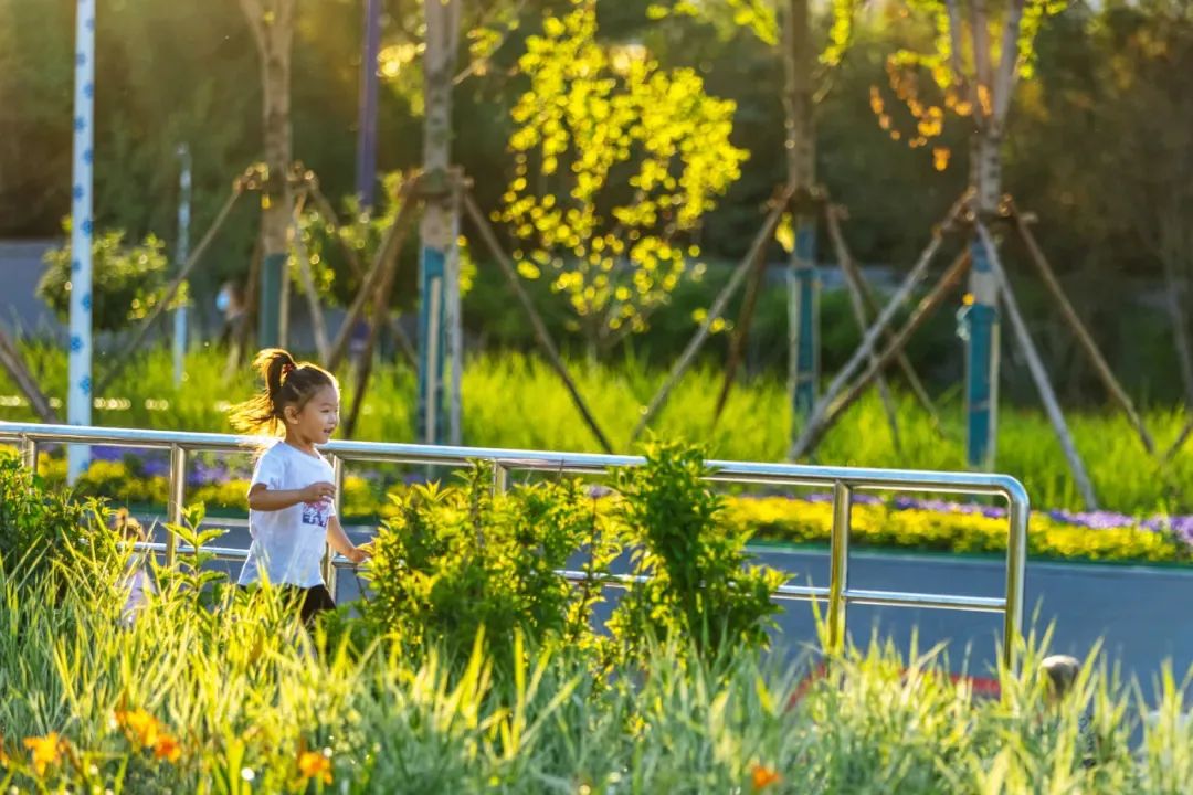 北京适合6岁娃玩的儿童乐园,遛娃好去处北京大兴