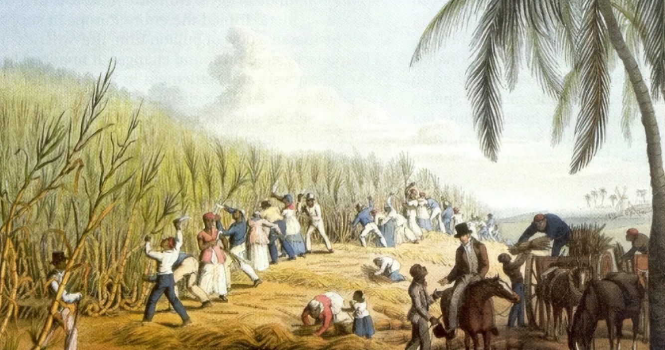 苏里南殖民地,苏里南反向殖民