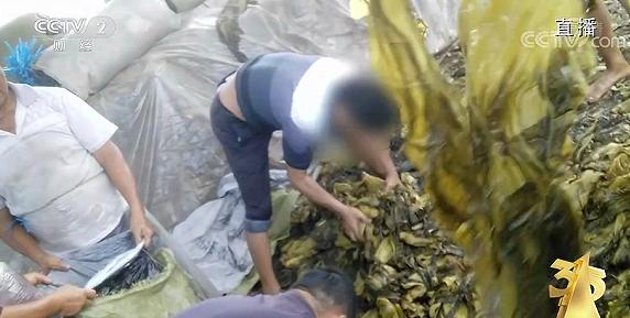 90后女孩打玻尿酸致大面积脑梗,女生打玻尿酸失明脑梗