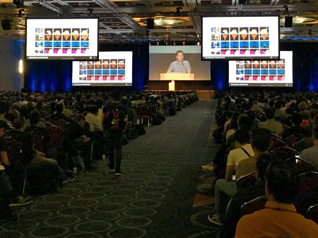 闪闪发光的勋章,闪闪发光的荣誉证书