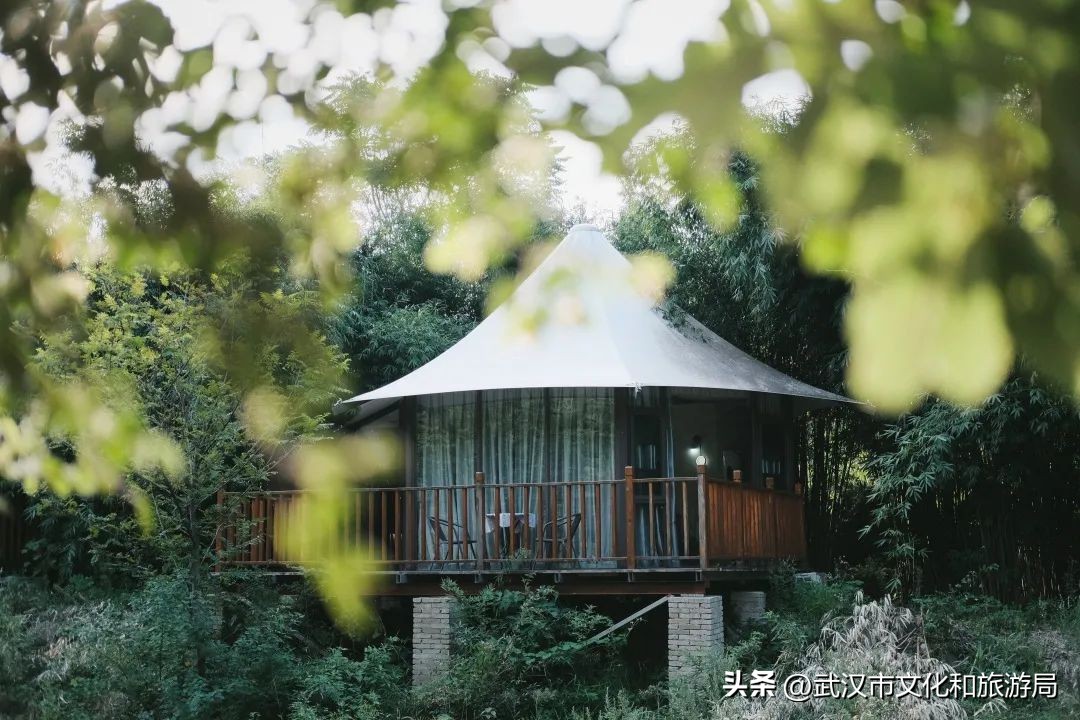 溪谷露营旅游攻略,溪谷玩水