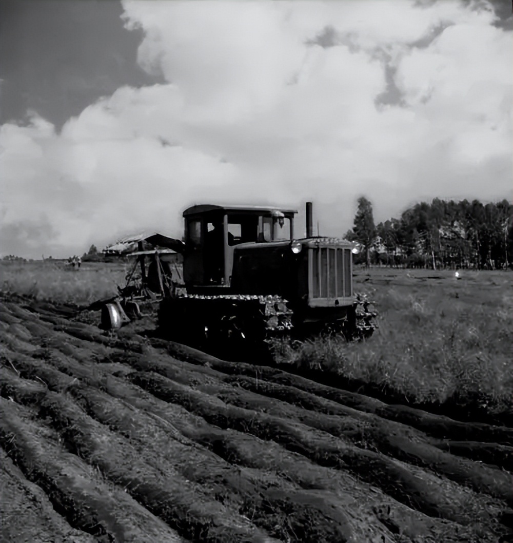 北大荒为什么要退耕还荒,北大荒退耕是什么时候