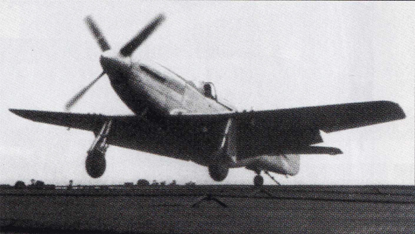 野马p26战斗机,野马家庭版