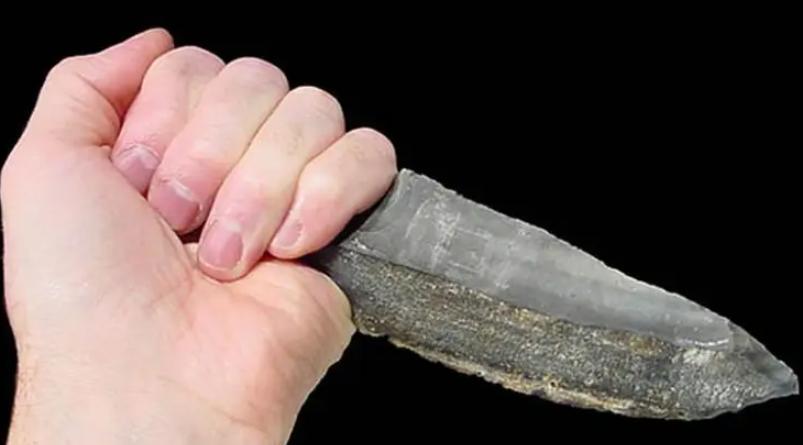 石器时代野人取火,锯竹取火钻木取火擦木取火