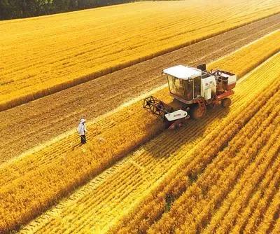 农业农村部集体资产改革,现在农村农业到底该怎么转型