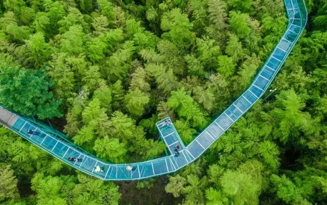 疫情过后欢迎您来甘肃青海旅游,疫情过后欢迎您的到来