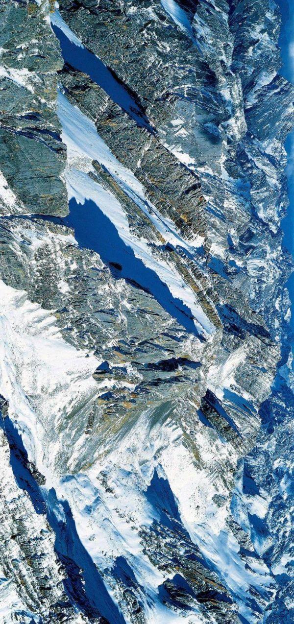 微生物菌群最新研究进展,一号菌群科研新成果