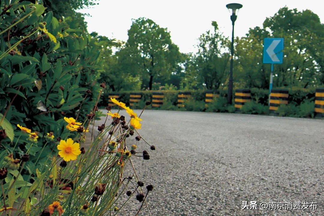 南京citywalk指南,南京12月份citywalk