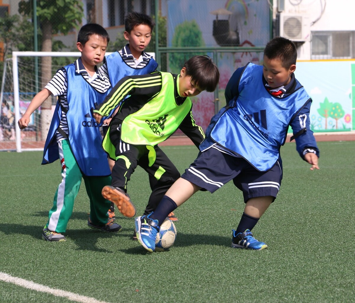 中国足球青训教育视频,中国足球青训领域