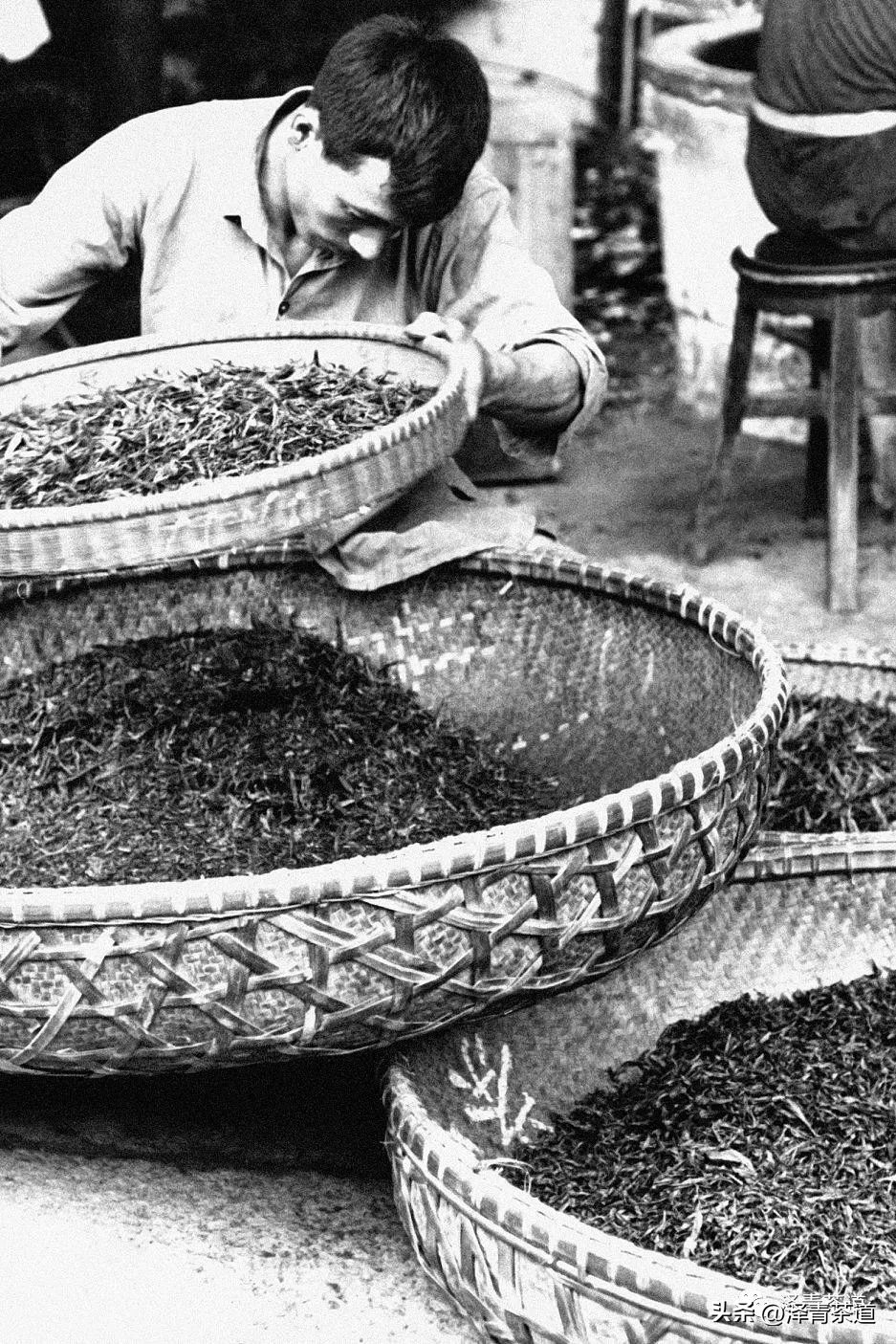 中国茶叶第一产茶大省,陕西中国茶叶第一大省