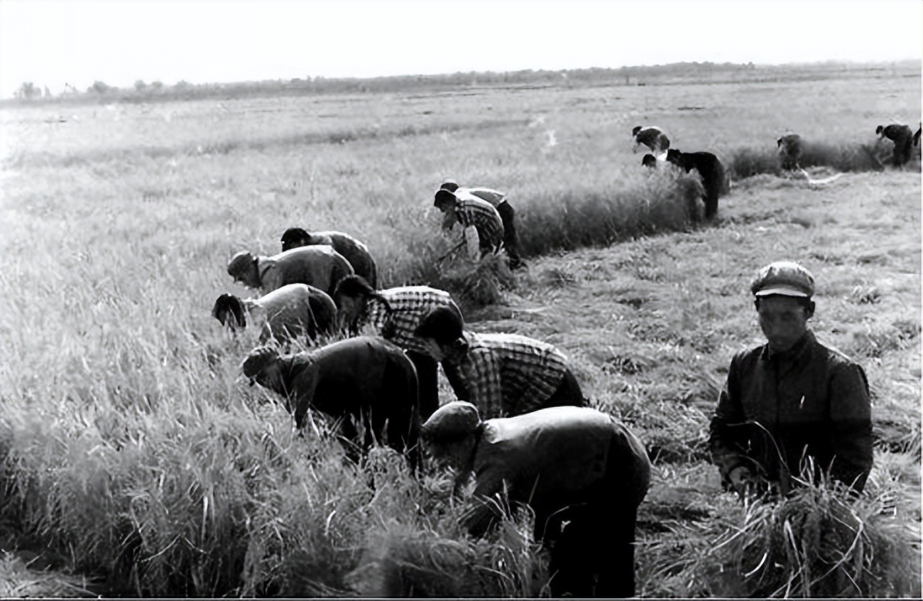 在日本打黑工十五年现状,中国父亲在日本打黑工15年纪录片