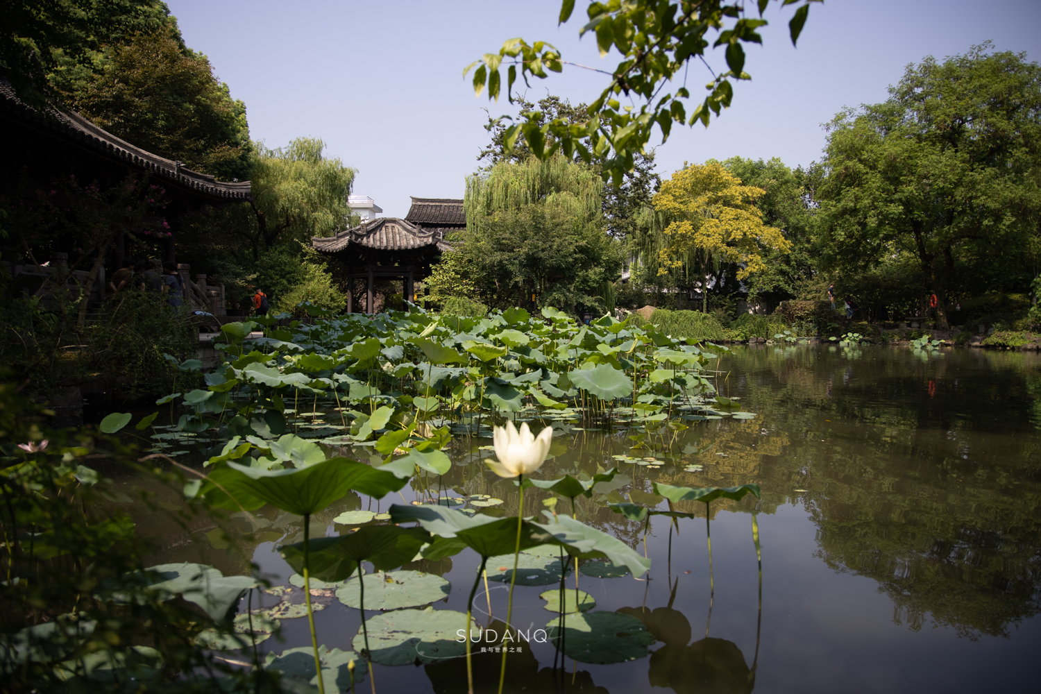 绍兴是东方威尼斯吗,绍兴为什么被称为东方威尼斯