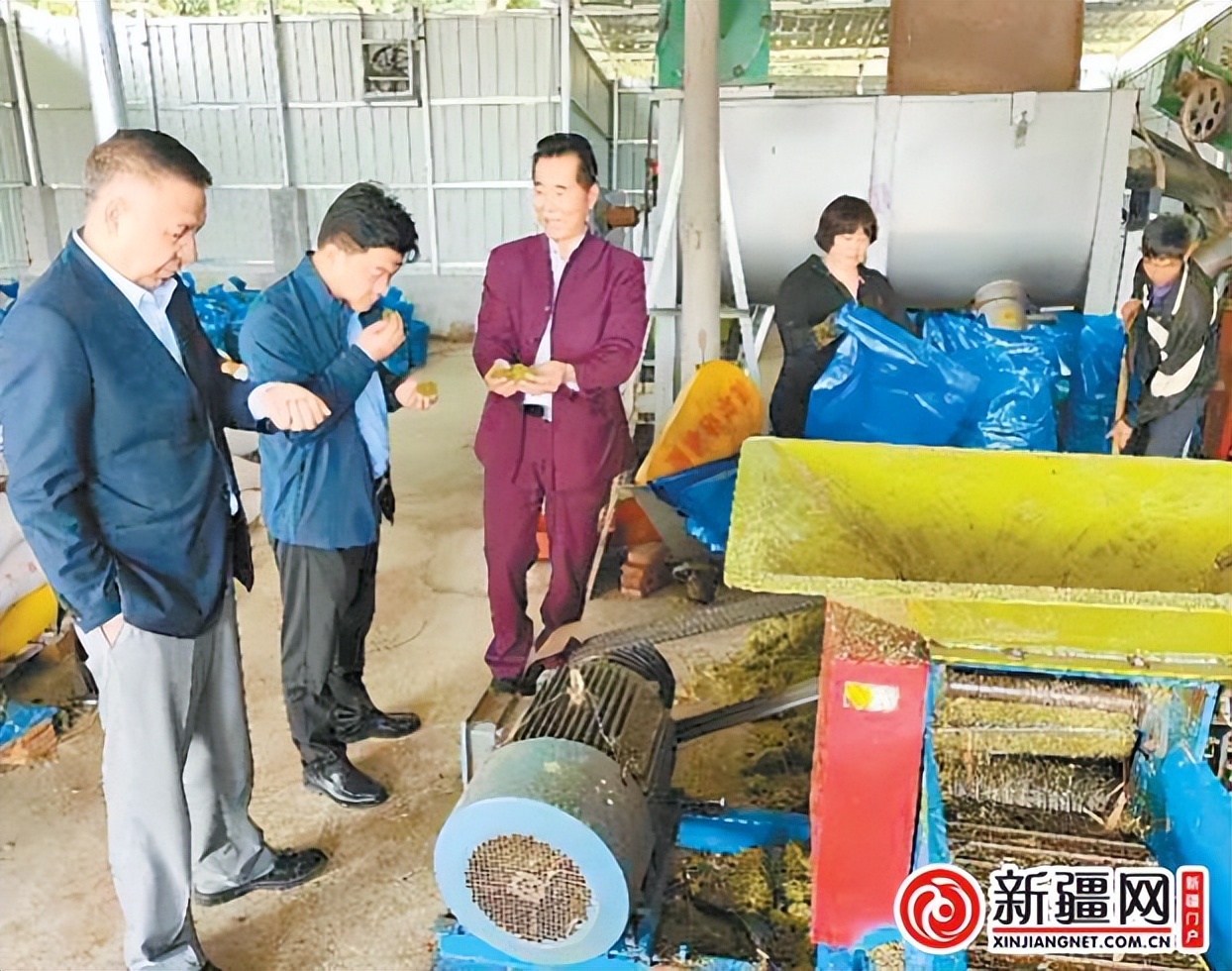 构建园区招商大格局,乌鲁木齐市招商