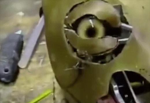 把马推下悬崖、炸死功勋犬，为了所谓的艺术，他们什么都干的出来