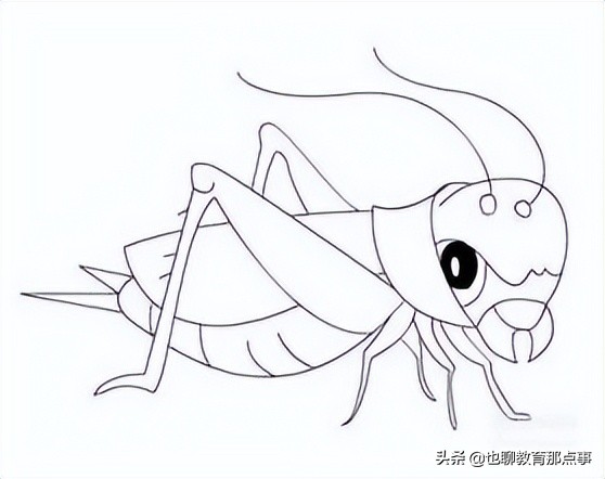 语文六年级四单元卷子答案,六年级上学期语文第二阶段作业