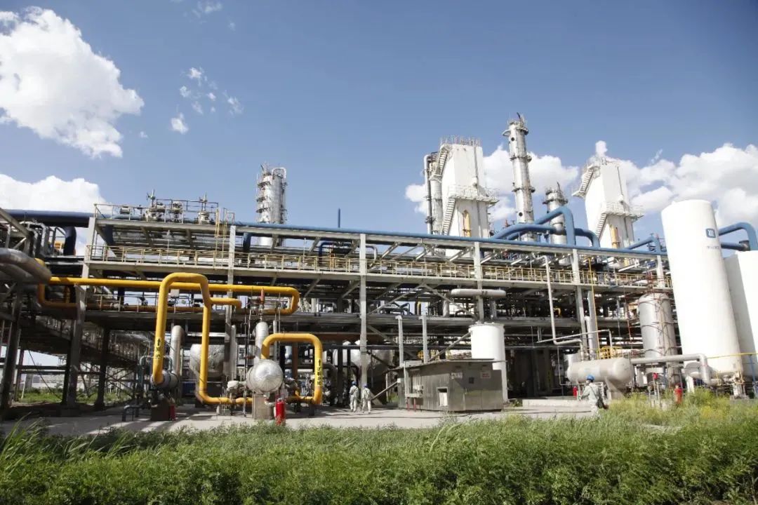 招商引资五年重点工作,精心筑巢引凤来招商引资促发展