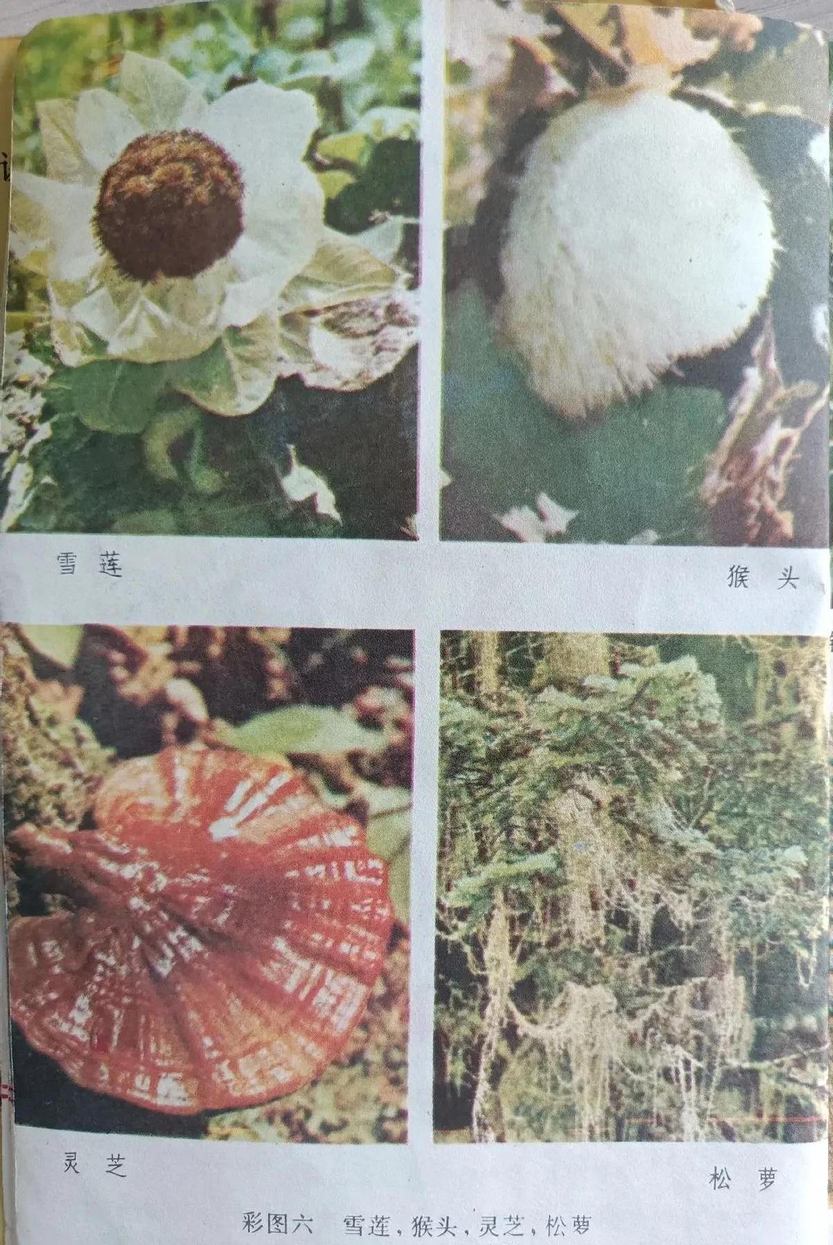 毁三观:旗人格格大腿岔开豪放洗衣,地主三妻四妾不输女明星2