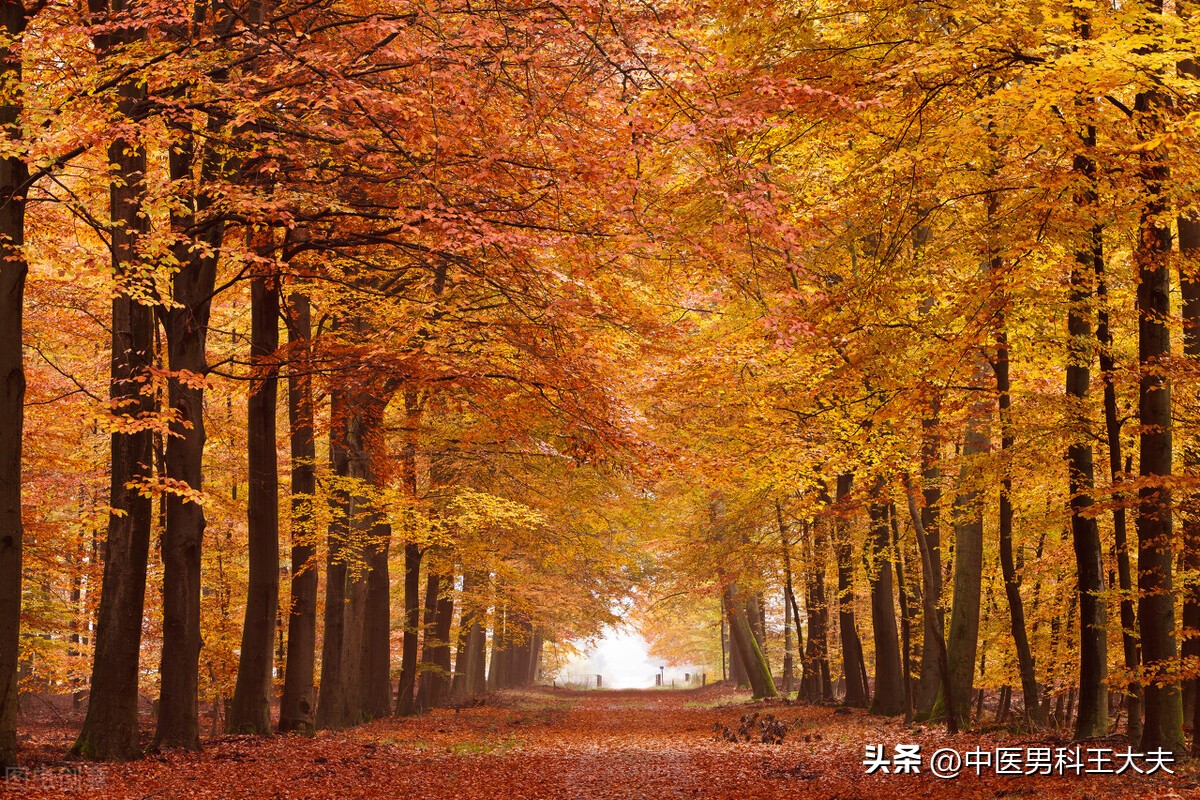 为什么男人得前列腺炎能自愈,男的炎症反反复复怎么根治