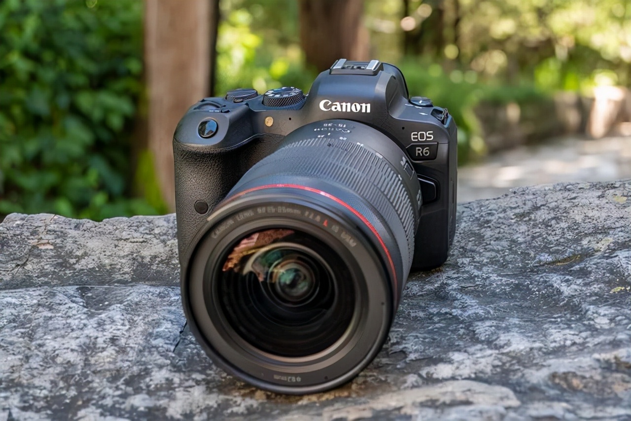 尼康佳能索尼相机的区别和优缺点,索尼第一梯队相机