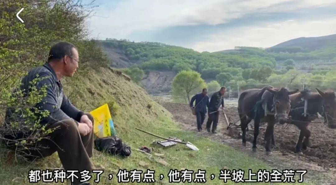 乌盟往事：⑥“郊区波仔”镜头里的乡愁