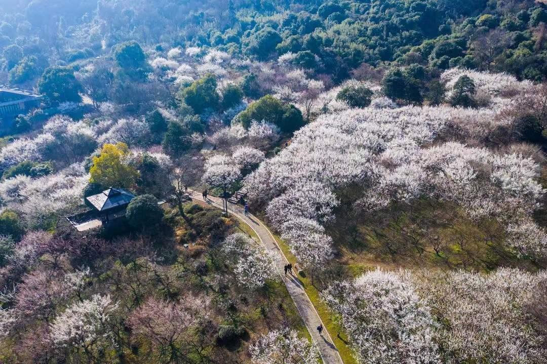 杭州西湖微信头像图片,杭州风景图片头像