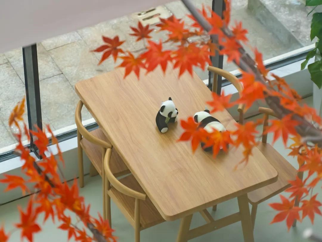 宜宾夏季度假旅游攻略大全,宜宾旅游攻略冬季