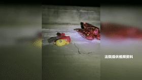 澶у笀澹扮О鑳芥不鐧剧梾,澶у笀璇磋嚜宸辫兘娌诲ソ鐧岀棁