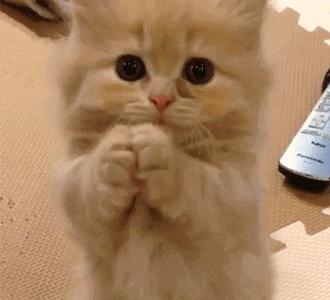 让男人爱到骨子里的三大生肖女,真正让男人爱到骨子里的女人