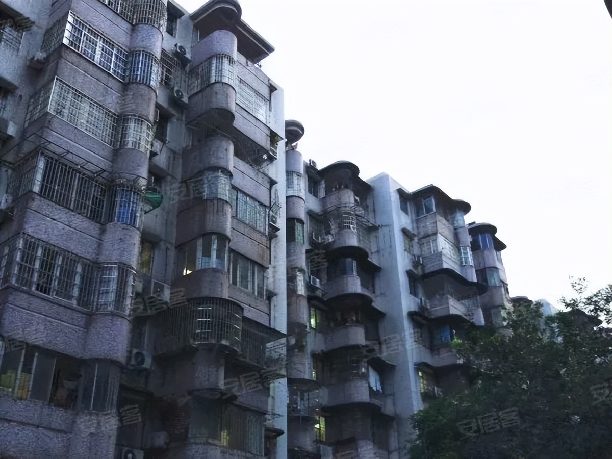 粤剧、醒狮、武术、科技……TA有39个宝藏社团？