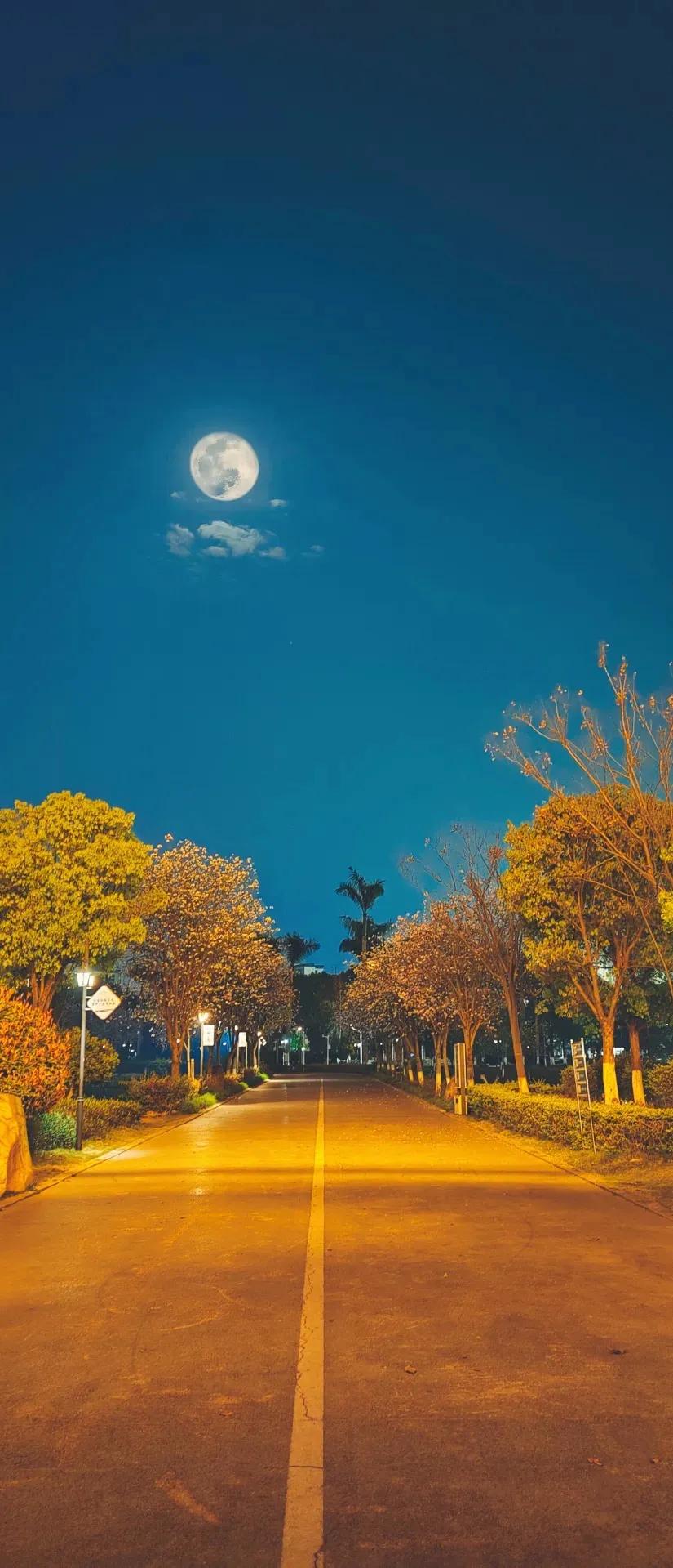 客都梅州歌曲,客都梅州