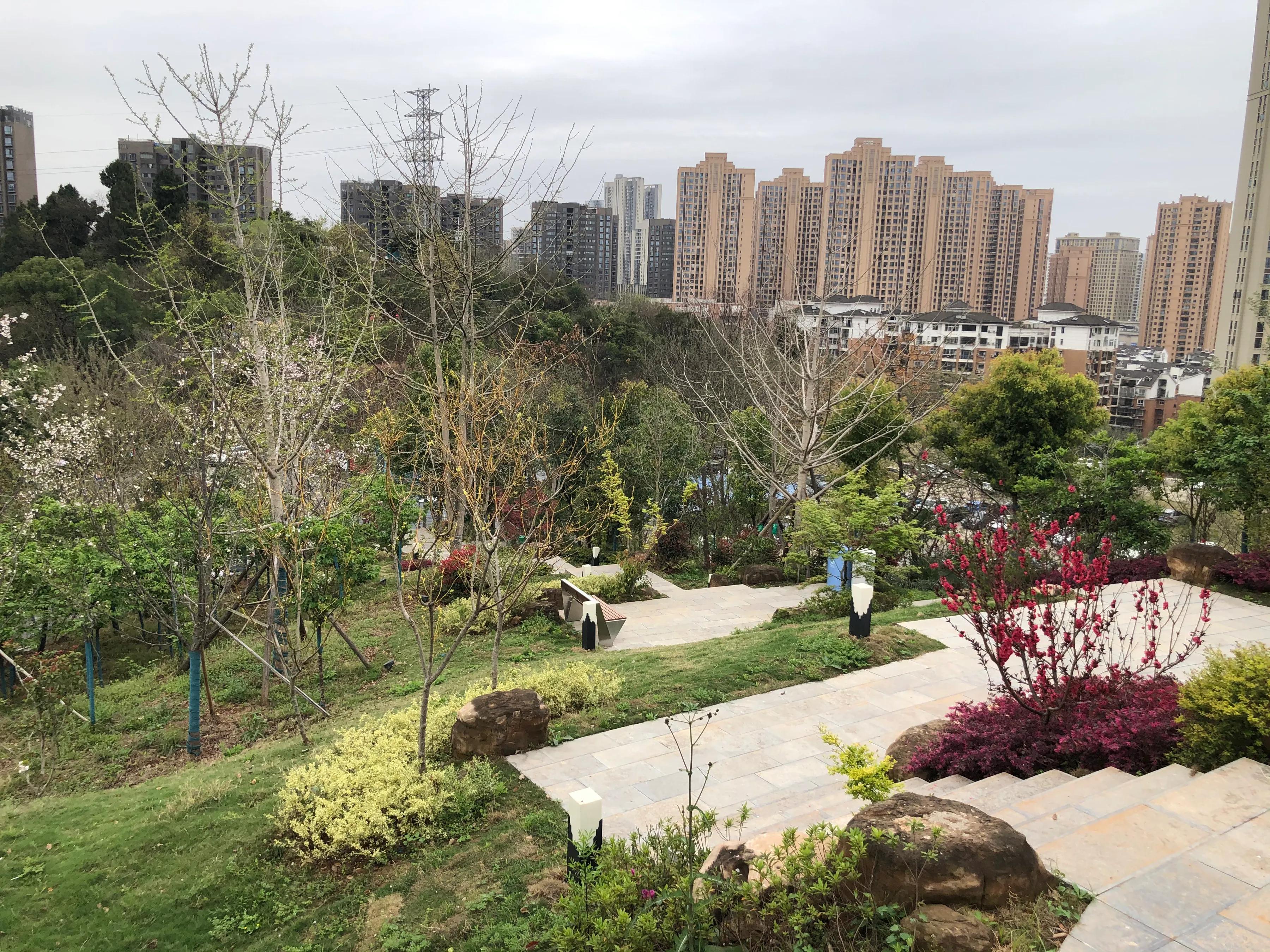 瀹滄槍鎺㈢,瀹滄槍杩愭渤鍏洯