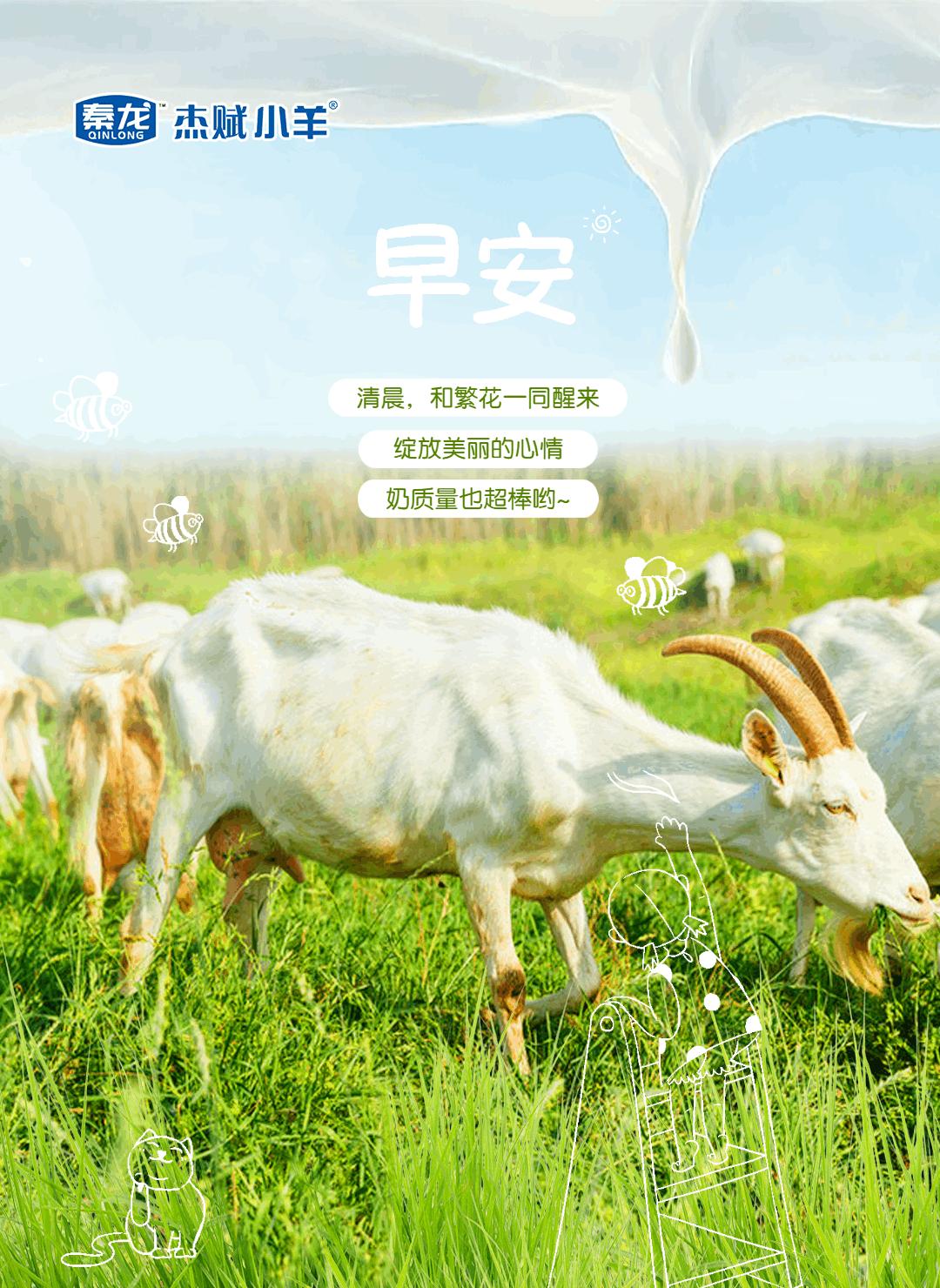 奶粉杰赋,杰赋小羊配方羊奶粉