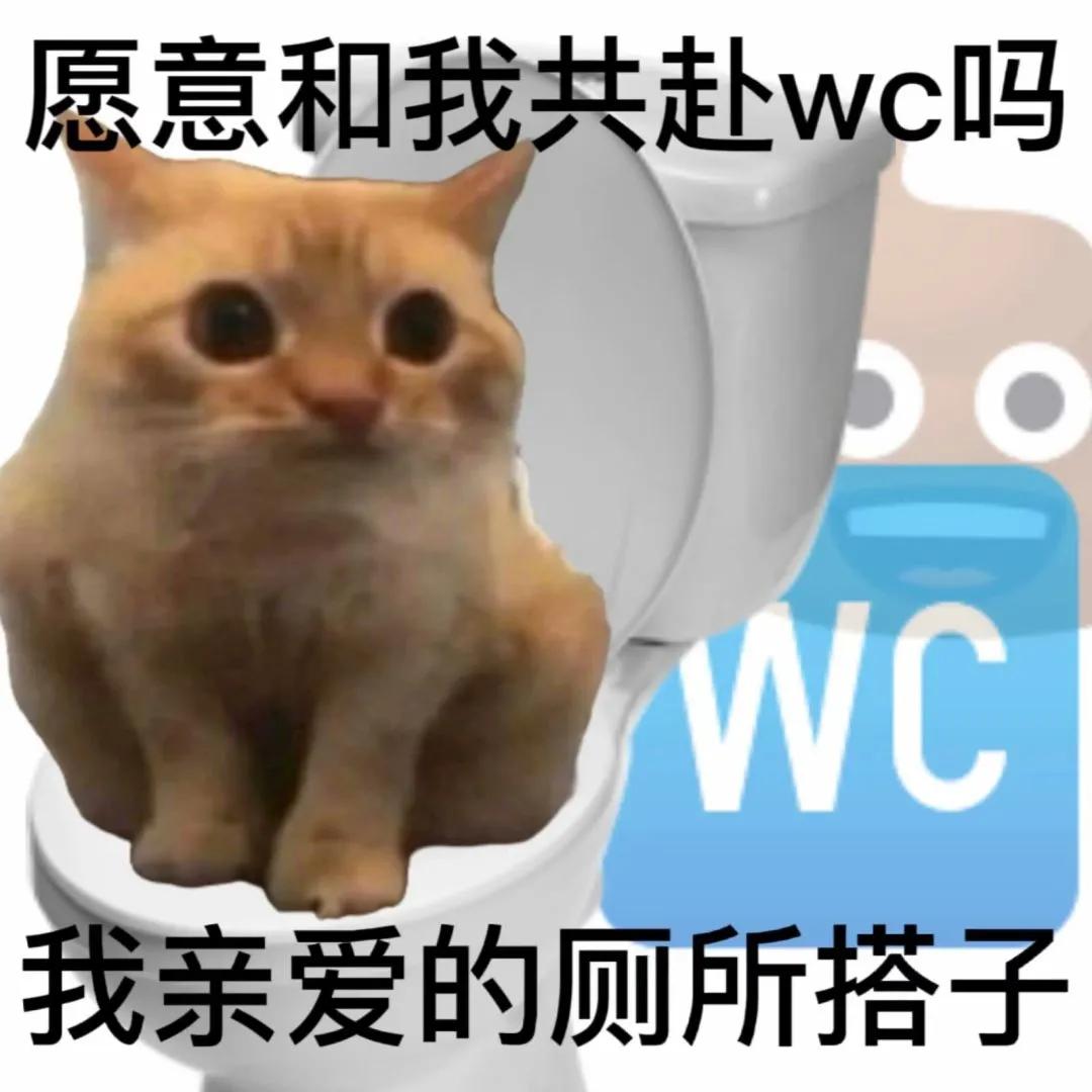 心里乱七八糟的表情包,搞笑图片沙雕表情包可保存