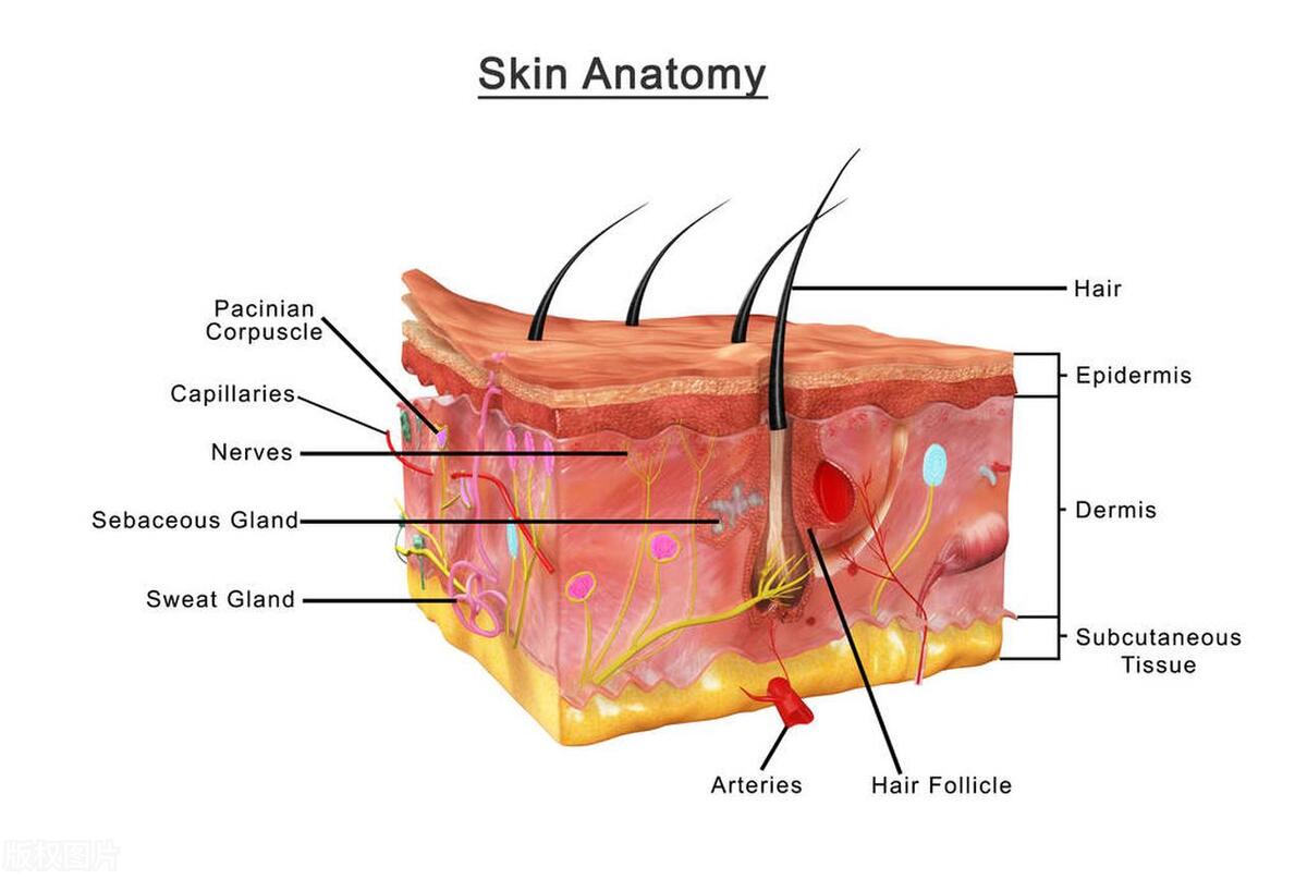 轻微烫伤处理的正确方法是什么,轻度中度重度烫伤急救措施