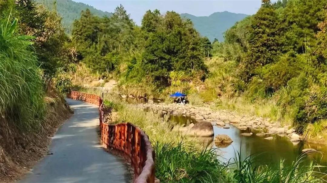 从化草埔村荷花游记,从化小杉村游玩攻略油菜花