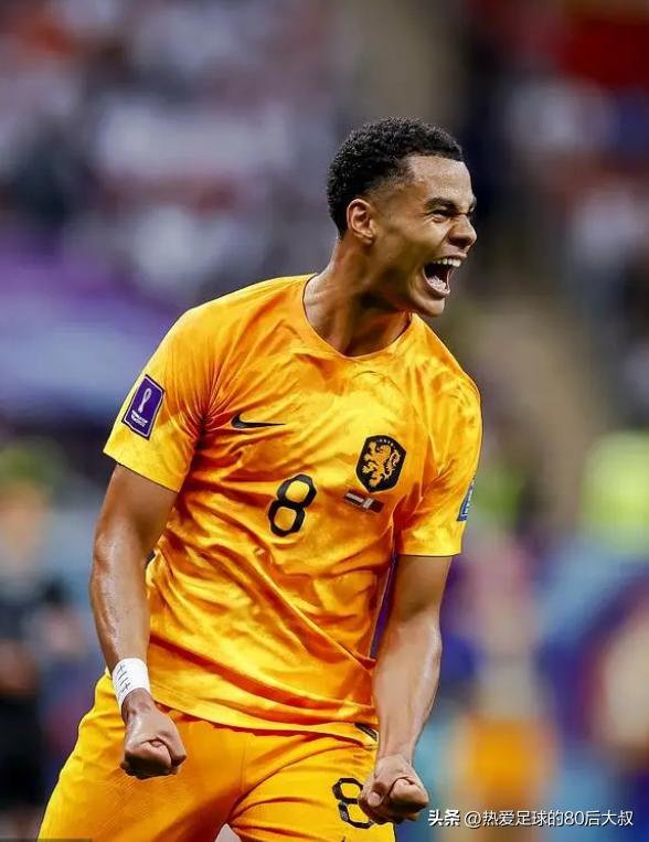 世界杯决赛荷兰vs德国,阿根廷点球战胜荷兰晋级四强