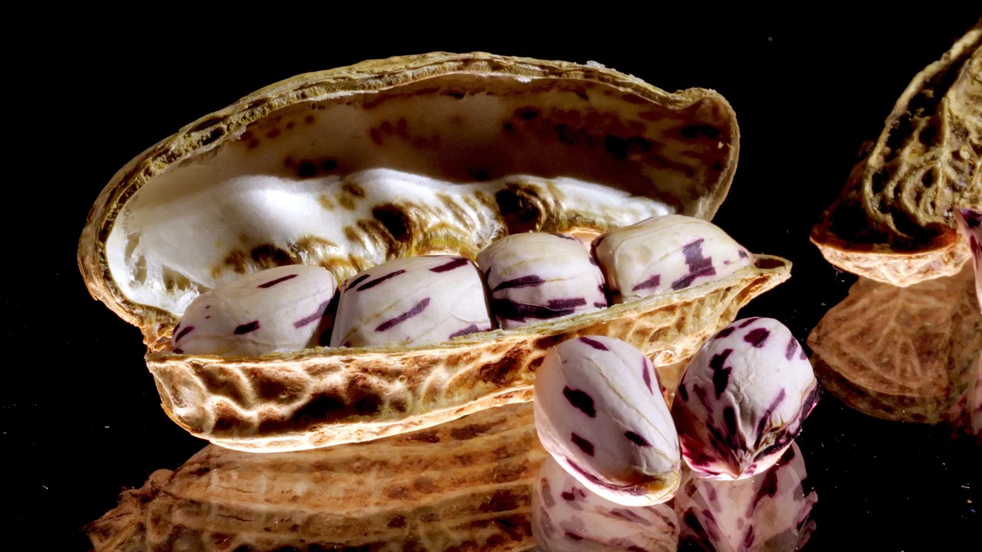 云南昭通土特产纯豌豆粉,云南的土特产有菌子吗