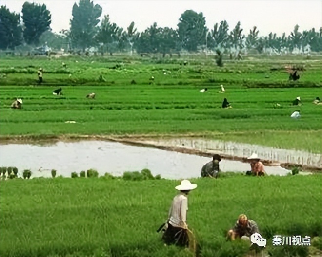如何看待农民工资,农民工对薪资的需求
