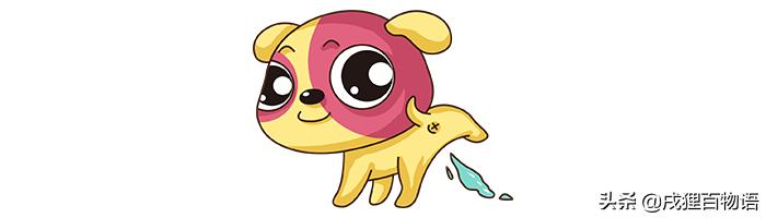 狗狗在沙发上乱尿怎么办啊,狗狗在沙发上拉尿怎么办