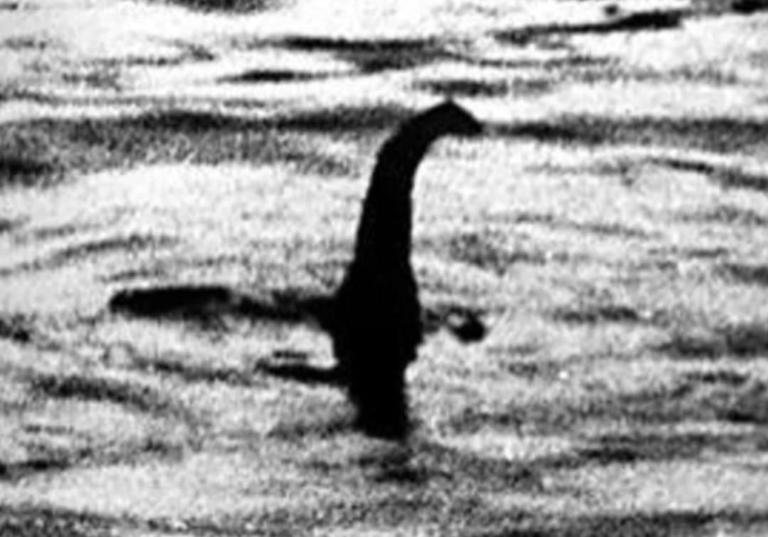 盘点那些年我们看过的故事,盘点那些年我们拍过的照片