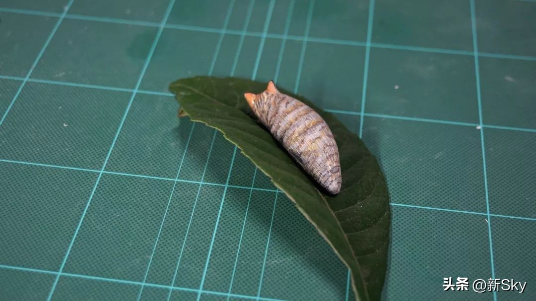 哈哈哈，这个神经手办又双叒更新了，笑惨我了