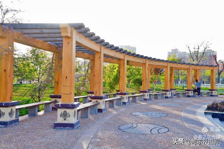 清晨的公园静态美和动态美,运城体育公园夜间灯光