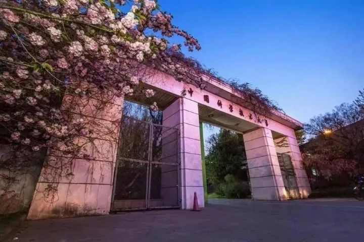 中国科技大学给合肥带来了什么,中国科技大学给合肥带来什么