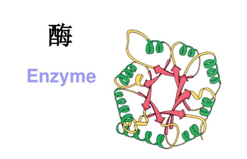 纤维素酶在农业上的应用图片,纤维素酶在膨化食品中应用